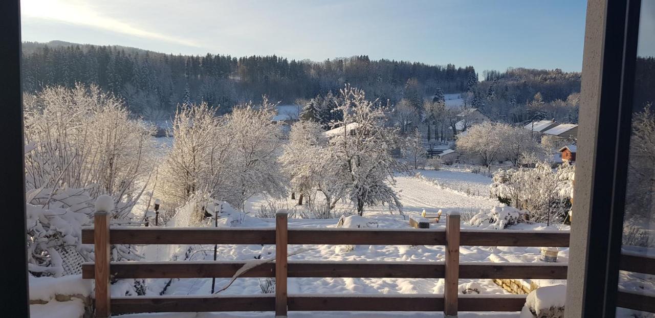 Le Jura En Toutes Saisons Piscine, Spa, Location Vtt, Balades 2Cv, Climatisation Bonlieu المظهر الخارجي الصورة