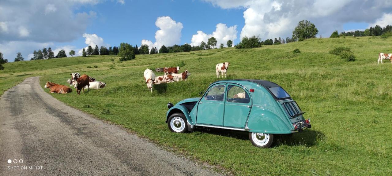 Le Jura En Toutes Saisons Piscine, Spa, Location Vtt, Balades 2Cv, Climatisation Bonlieu المظهر الخارجي الصورة